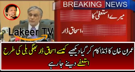 Big News Came About Ishaq Dar Resignation