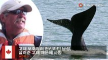 고래 보호하려 헌신하던 남성, 살려준 고래 때문에 사망