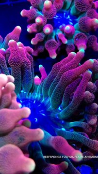 trim.995FCE8B-181E-4117-A475-8D36D3C5908B