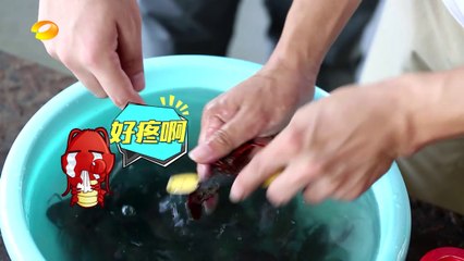 《新闻当事人》第20171015期：中国人如何养殖小龙虾 People IN News：【芒果TV官方超清版】