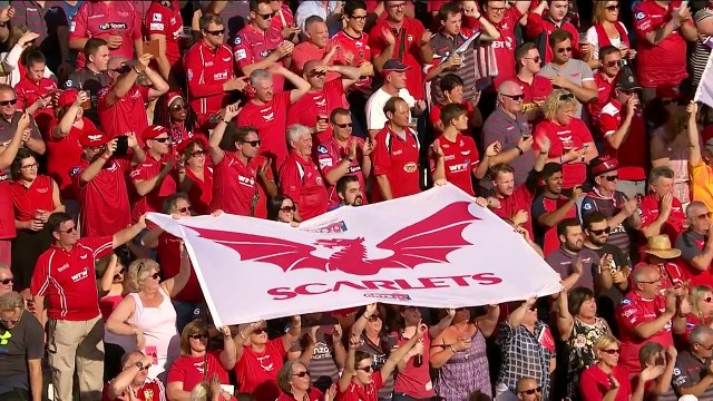RC Toulon v Scarlets (P5) - Highlights – 15.10.2017