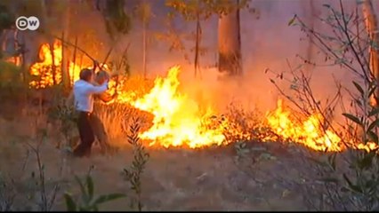 Incêndios causam ao menos 30 mortes em Espanha e Portugal
