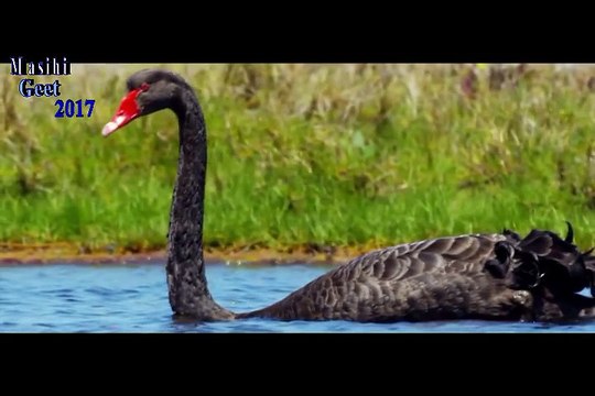 Apni hazoori wich by Faisal khokhar. new masihi geet 2017 Hd