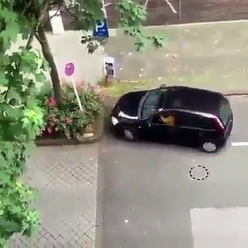 Un automobiliste qui n'arrive pas à faire un créneau