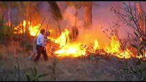 Chaîne humaine, seau d'eau... Les habitants combattent comme ils peuvent les incendies au Portugal et en Espagne