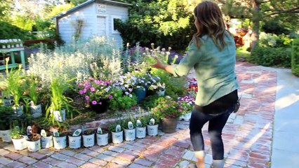 Garden Tour Pt 1 // Garden Answer