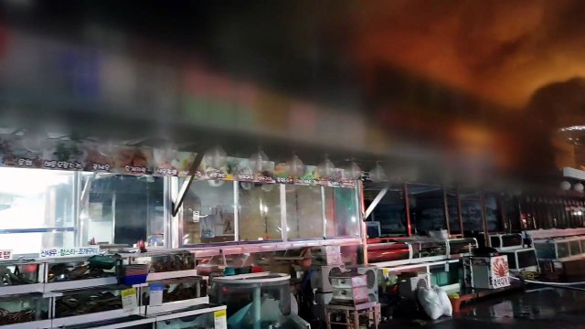 강릉 횟집 화재... 불길 번져 점포 2곳 피해 / YTN