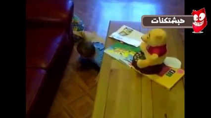 اجمل المقاطع الطريفة والمضحكة مع برنامج حبشتكنات الكومدى الحلقة (السادسة والثلاثون)HD