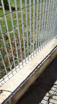 Andria: preoccupante scoperta del solaio del Canalone in via dott. Camaggio