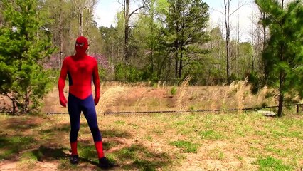 Spiderman vs Frozen Elsa vs Joker! Doctor Joker King Joker! funny superheroes real life compilation