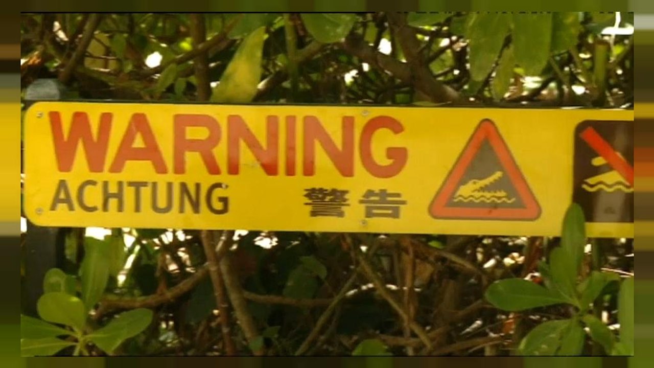 Fiel 79-jährige Australierin einem Krokodil zum Opfer?