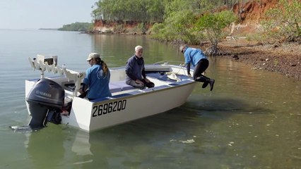 The Worlds Most Deadly Venom: The Box Jellyfish River Monsters