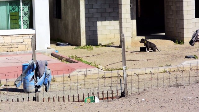 Huge, Flawless Surf In Baja Mexico Amidst the Election Blues - The Inertia