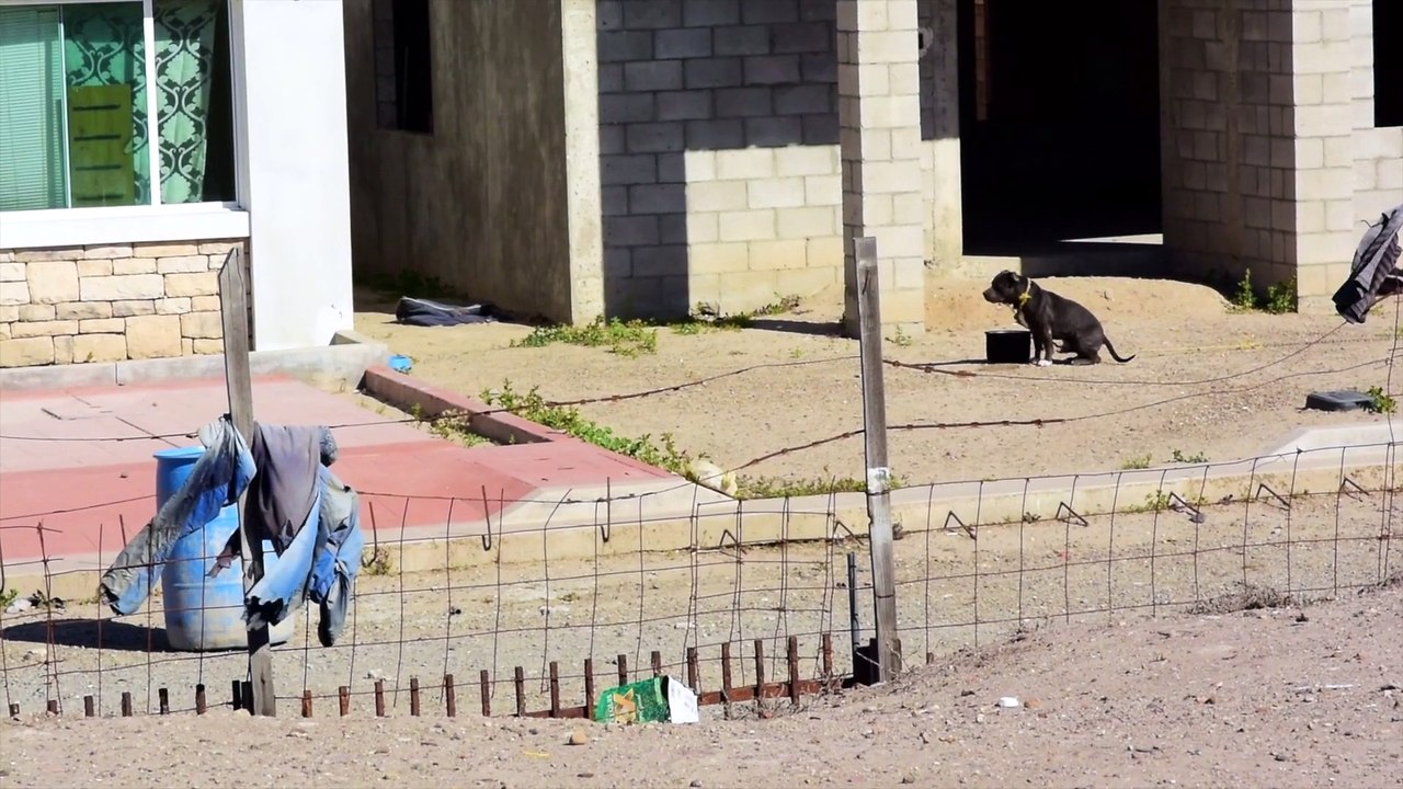 Huge, Flawless Surf In Baja Mexico Amidst the Election Blues  - The Inertia