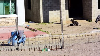 Huge, Flawless Surf In Baja Mexico Amidst the Election Blues  - The Inertia