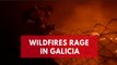 Deadly wildfires continue to rip through Galicia, Spain