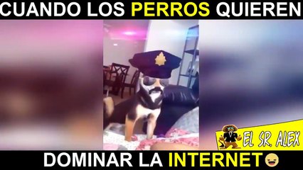 SI TE RÍES, PIERDES - (BROMAS PESADAS) videos para morirse de la riisa!!