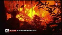 Incendies : plus de 30 morts au Portugal