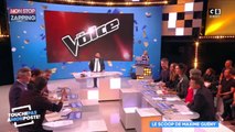 TPMP : The Voice senior bientôt sur TF1 ? Maxime Guény donne des détails (Vidéo)