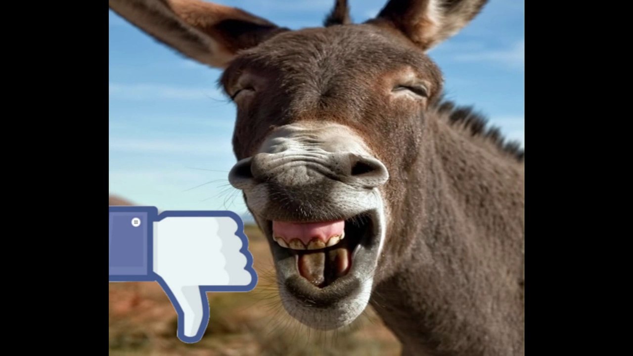 NAO AUTORIZO O FACEBOOK A TIRAR MINHA PRIVACIDADE - Faceburrico