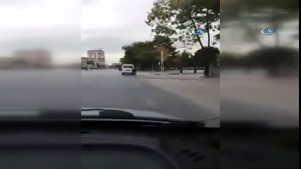 Atı Aracın Arkasına Bağlayıp Koşturdular