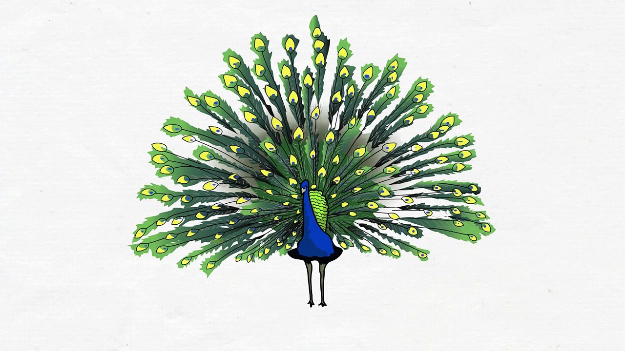 Загадки для детей про животных, птиц, насекомых и фрукты. Сборник 1. Развивающие мультики для детей.