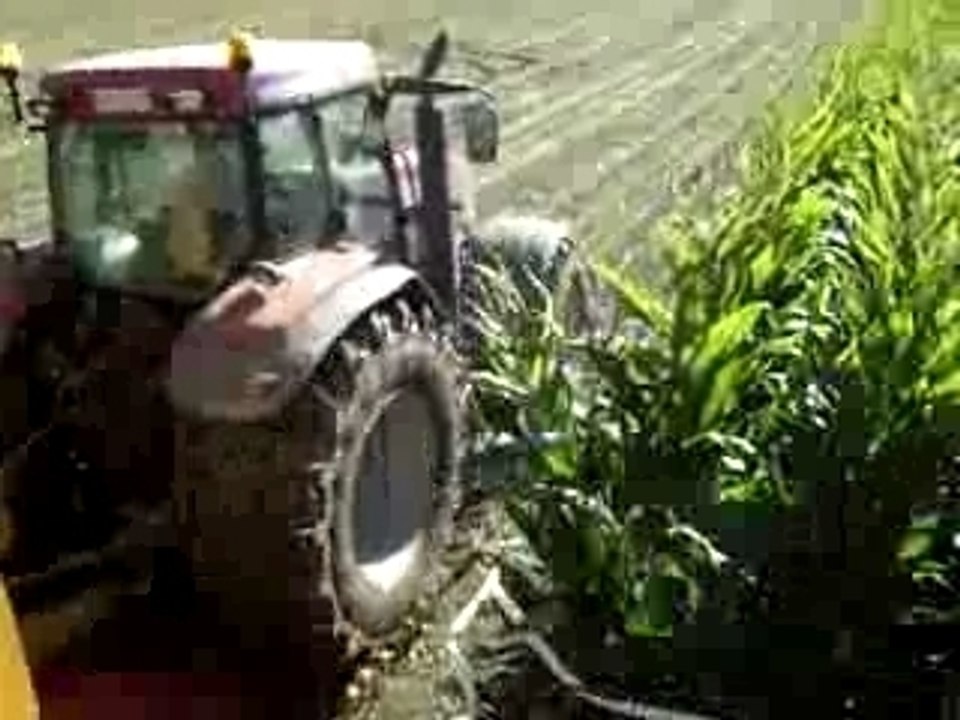 fredo ensilage 2007