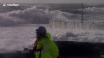 Huge waves from storm Ophelia throw venomous jellyfish onto Cornish roads