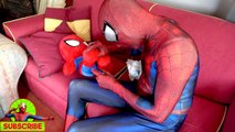 Spiderman vs Spiderbaby FROZEN ELSA DOCTOR! w/ Spiderman Joker Hulk Snow White! Superhero Fun :)