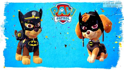 PAW Patrol Transforms into Avengers | Superhero Videos For Kids