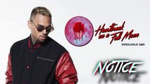 Chris Brown - Notice (Official Audio)