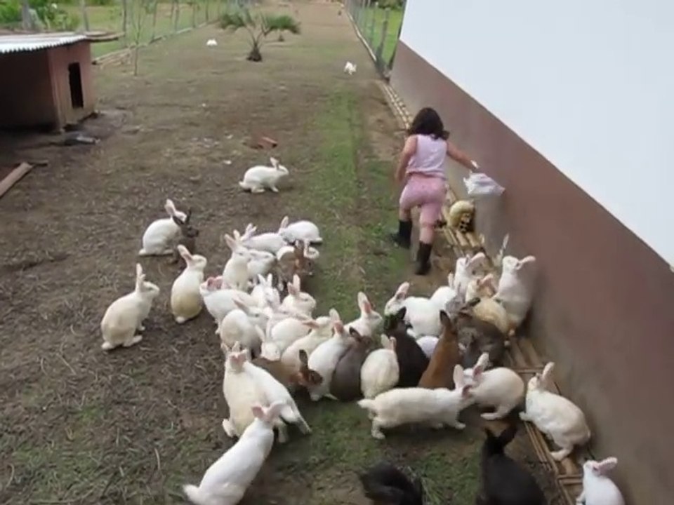 Cette fillette se fait poursuivre par... des lapins! Trop mignon