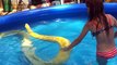 Cette fillette nage avec un python jaune magnifique... même pas peur!