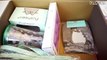 Pusheen Cat Box Summer 2016 - Kawaii Subscription Box Unboxing - So much Official Merch Cuteness!!