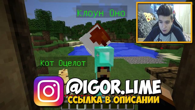 КАК СКРАФТИТЬ АЛМАЗНУЮ БРОНЮ ДЛЯ КОТА ОЦЕЛОТА В МАЙНКРАФТ | КАК ПОЛУЧИТЬ СЕКРЕТНЫЕ ДОСПЕХИ MINECRAFT