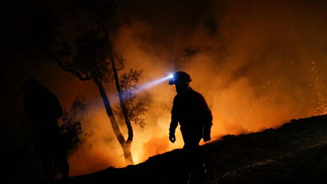 Portugal busca soluciones par combatir los incendios forestales