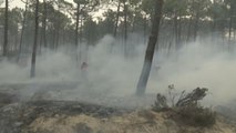 Aumenta a 36 el número de muertos en los incendios de Portugal