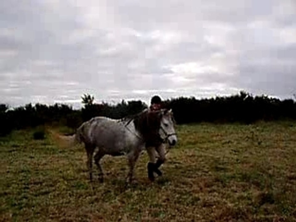 P1010286