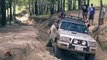 Nissan Patrol GU, Navara and Jeep Wrangler JK offroading on camp road