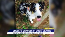 Virginia Boarding Kennel, Owner Charged After Investigations into Recent Dog Deaths