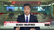 Portugal and Spain wildfires kill at least 39