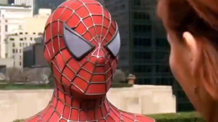 Friendly Neighborhood Spider Splatt