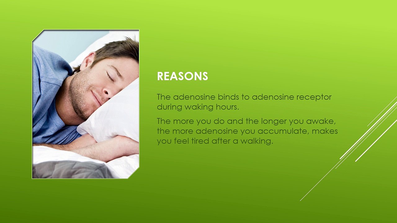 Why Do We Fall Asleep? | Science | Reasoning