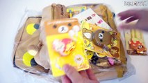 Rilakkuma Q-Bag / Q-Box - Kawaii Monthly Surprise Subscription Box Unboxing