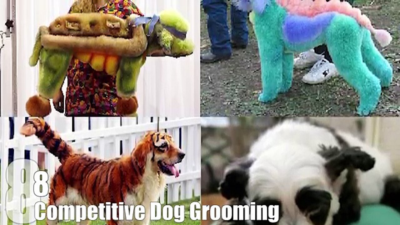 Top 10 Strangest Hobbies In The World — TopTenzNet