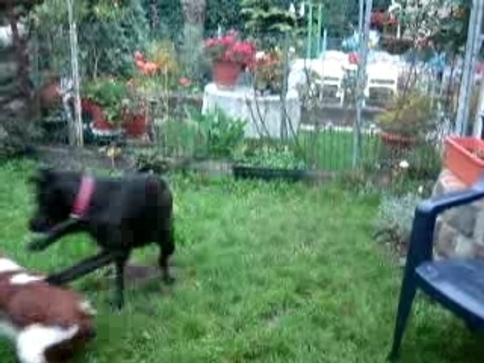 Novembre2007 Channelle et Joey