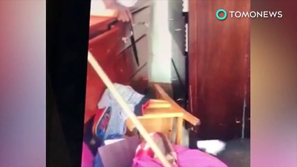 한 남성, 고양이 학대하는 장면 페이스북 라이브로 내보내