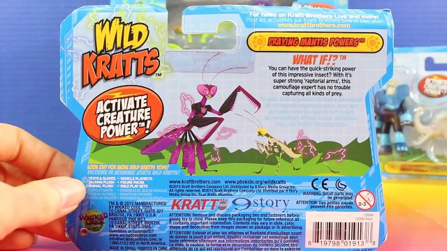Wild Kratts Toy Animal Sets With Orangutan Koala Bear Spider Monkey Martin & Chris Come To Rescue