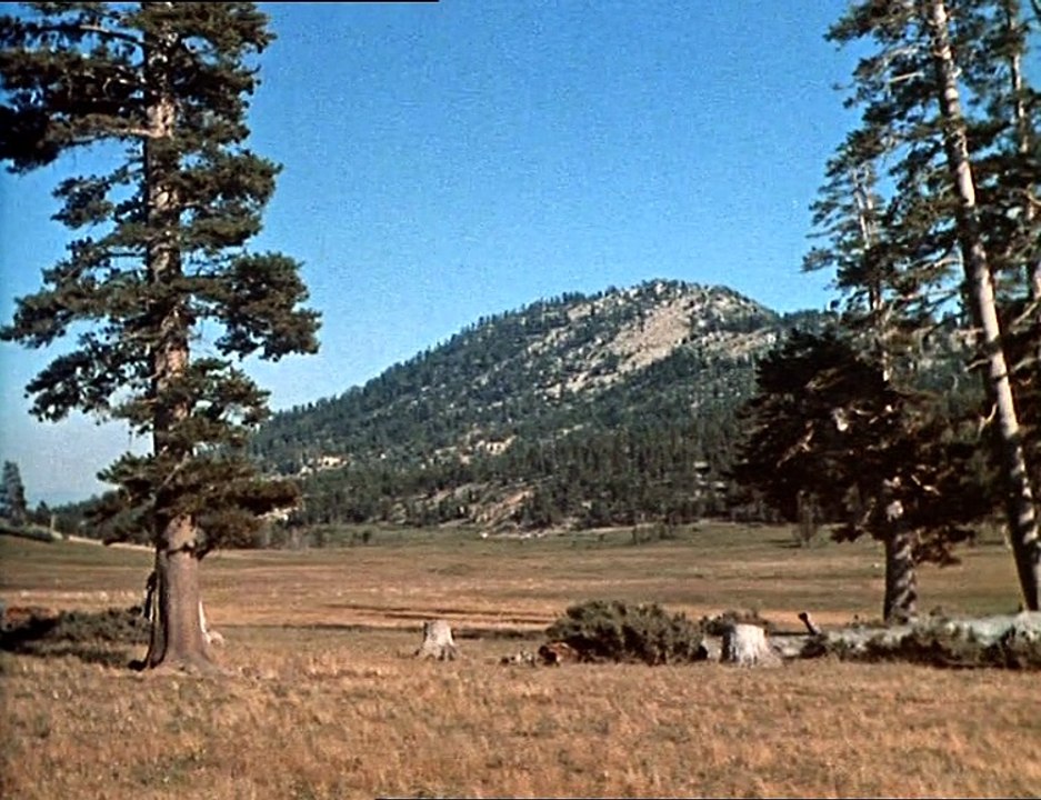 S01E22 - Kein Platz für Schafe