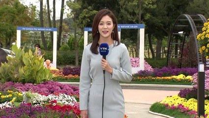 [날씨] 쾌청한 가을...국화 만발한 순천 국가정원 / YTN